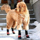 Botas para Mascotas - ¡Protege a tu Mejor Amigo, sin Importar la Estación del Año!