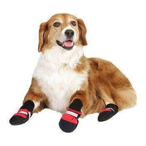 Botas para Mascotas - ¡Protege a tu Mejor Amigo, sin Importar la Estación del Año!