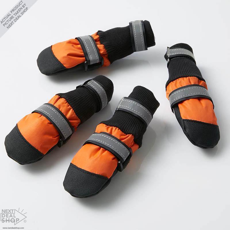 Botas para Mascotas - ¡Protege a tu Mejor Amigo, sin Importar la Estación del Año!